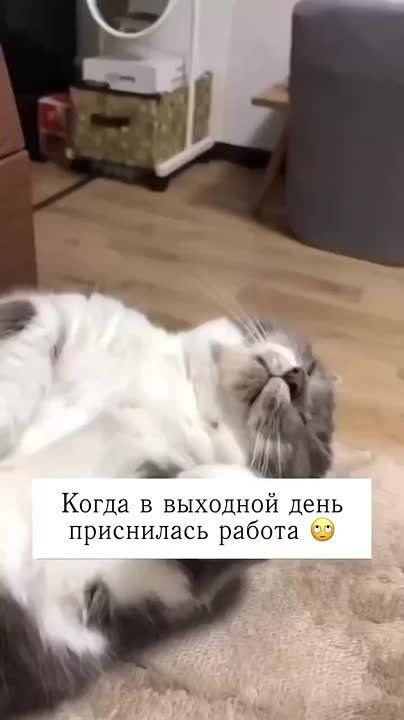  !    