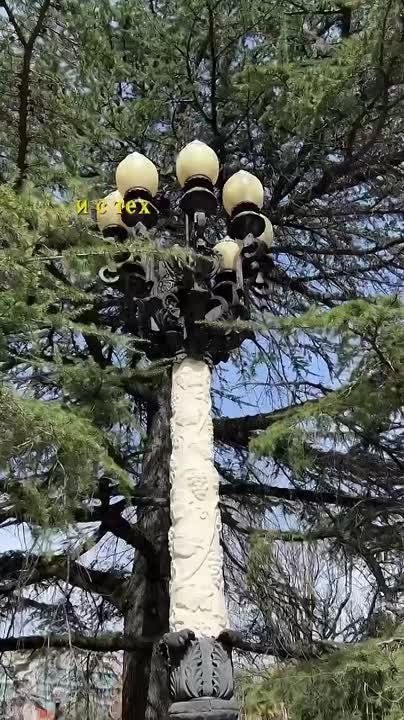   .        ? travel_team.ru   24