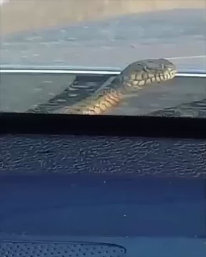    2 :
