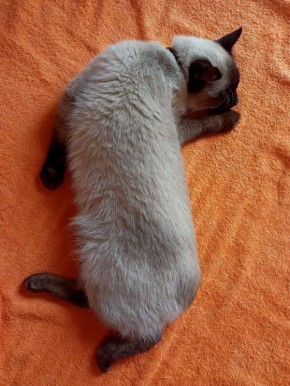  , ! ,      :