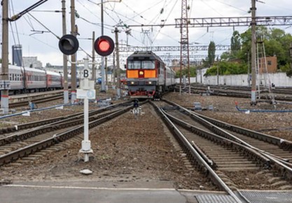  20        -      