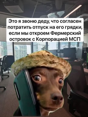      ,      
