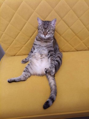  , !    :