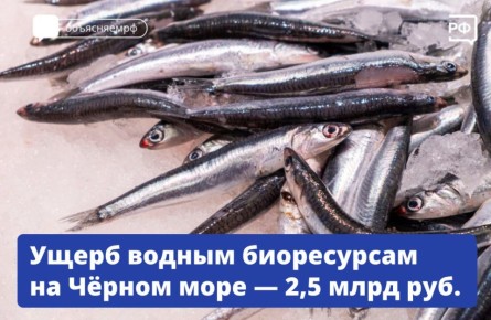,    -     ,   2,5  