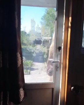 ?  ?  !
