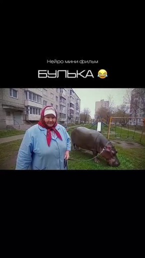  -    ,   