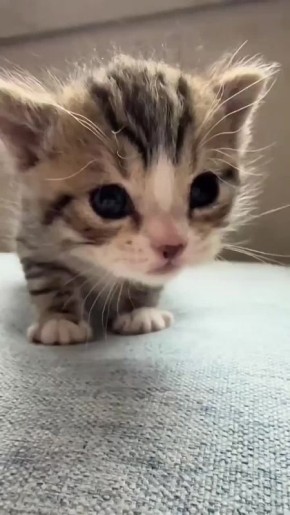 ?      ,      