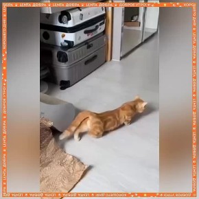 : 