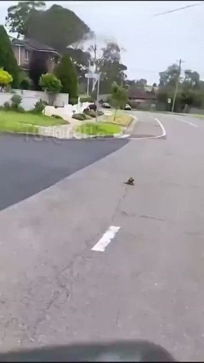    ,    ,           
