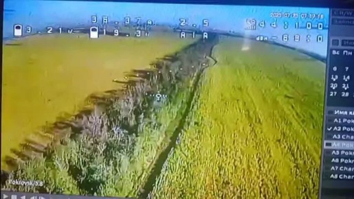  :  ,   &quot;&quot;        ,    -    