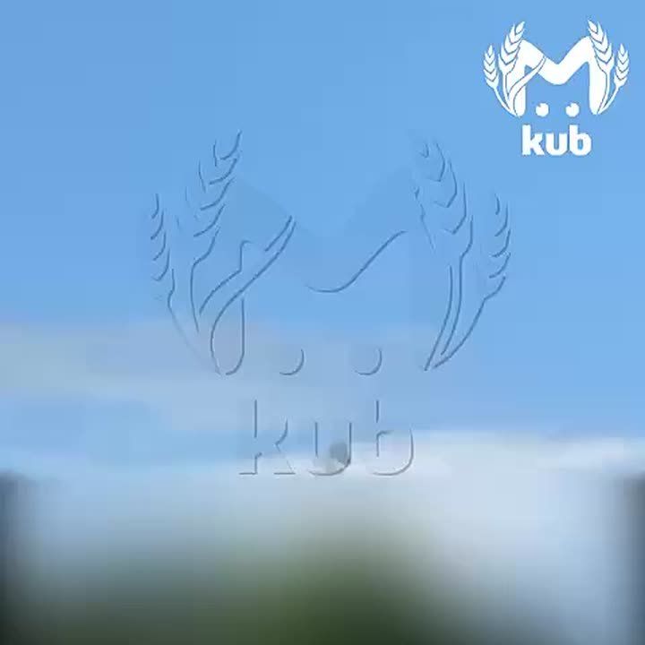             &quot;&quot;