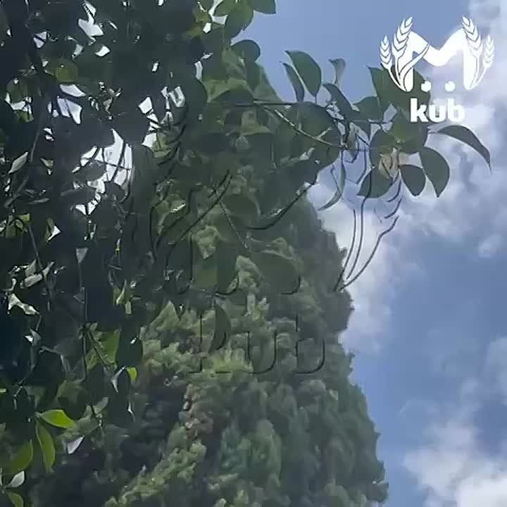    ..      ,     