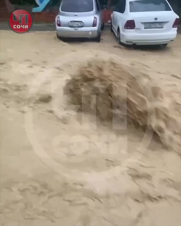    ? ?:     .  ,     ,           