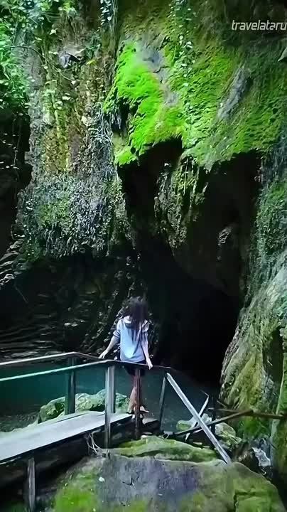  ,  ,  ,             ,         