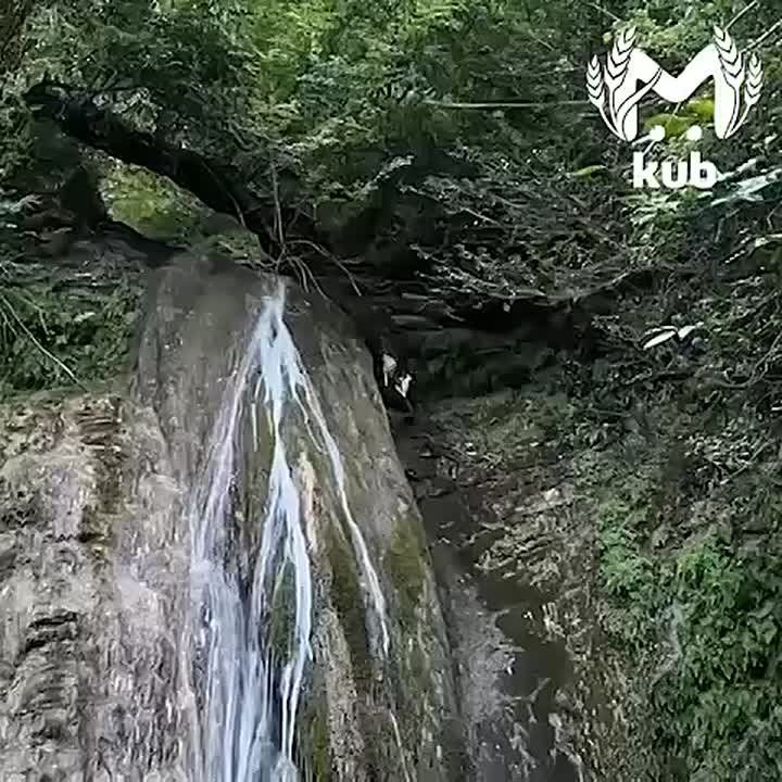   ,    -  