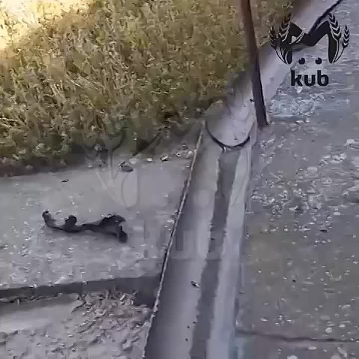        --