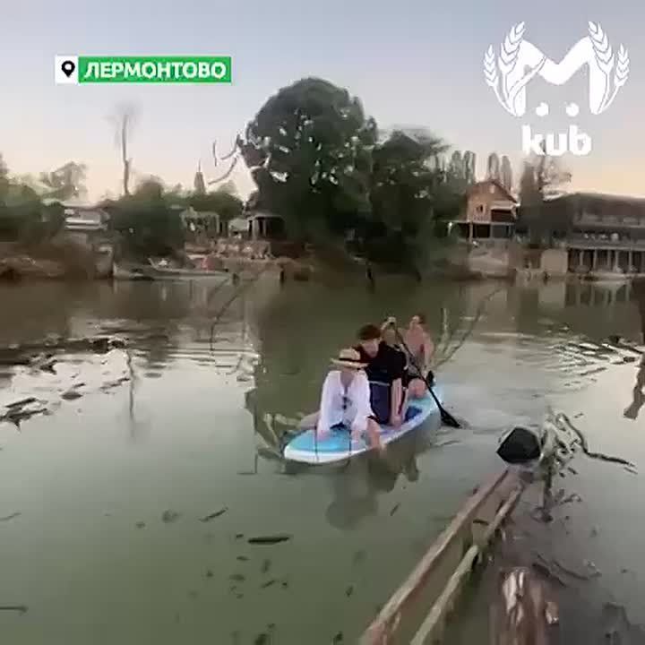  ,    -  ,     