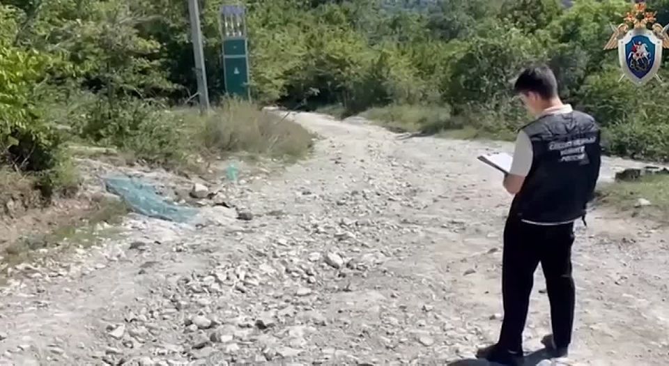,        , 