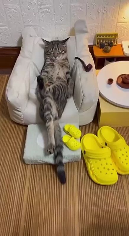    ,    