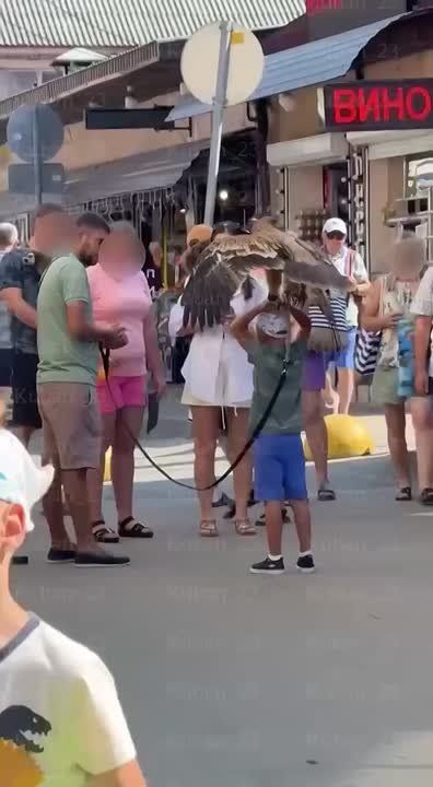     :       