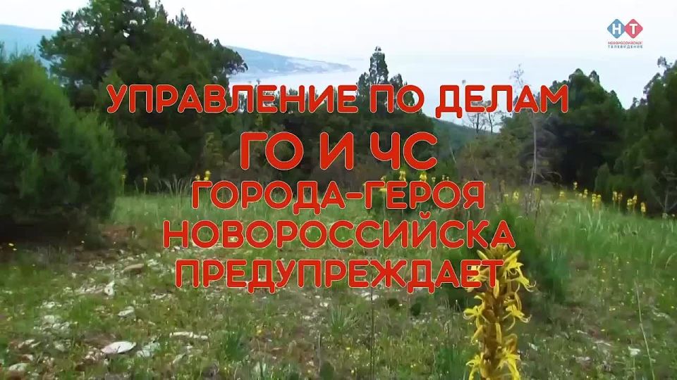      :    