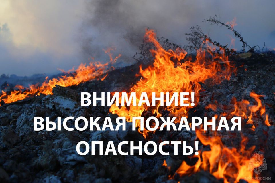     :    22  2025 ,      23  2025     -, -, -, - ...