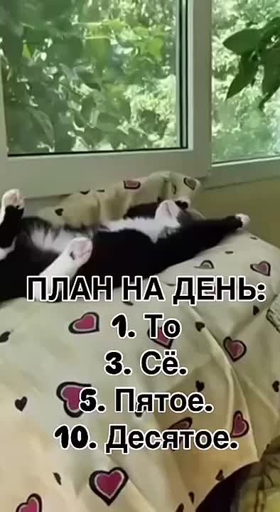     :