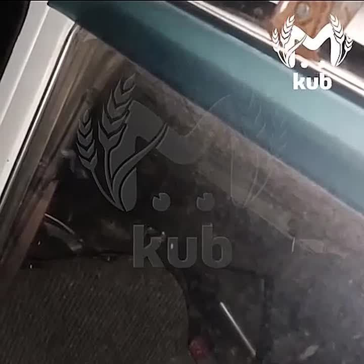       - 
