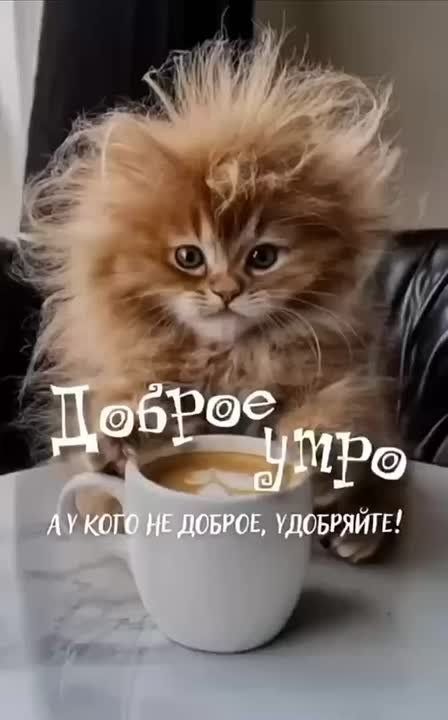    !