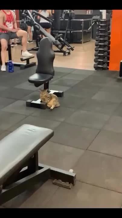      ,  -  