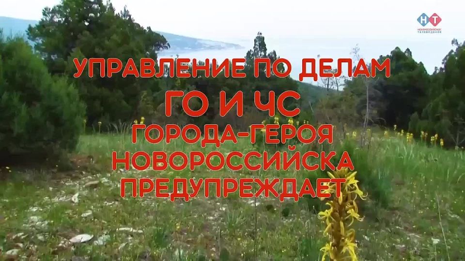      :    