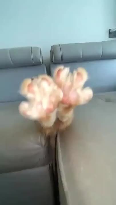   !     ?