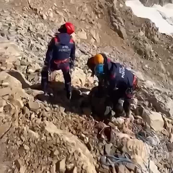  -         -