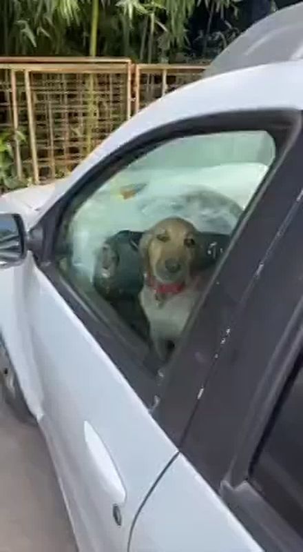   ,       
