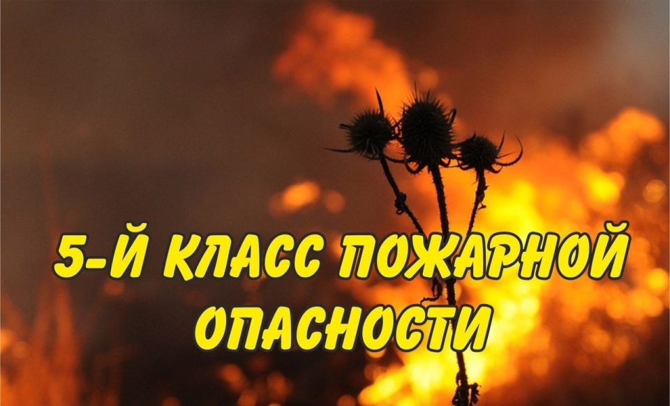     :    01.09.2025    -, -, -, -      ...