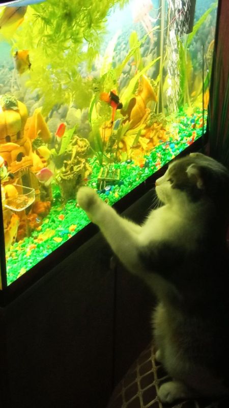  , !  2 :