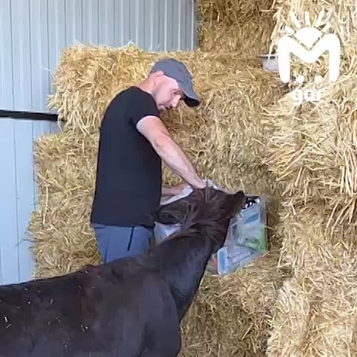 ,      :      