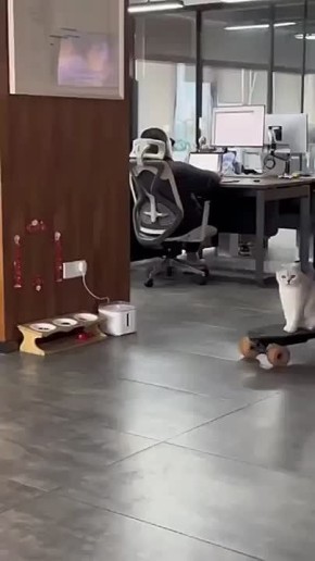  ,  ,    