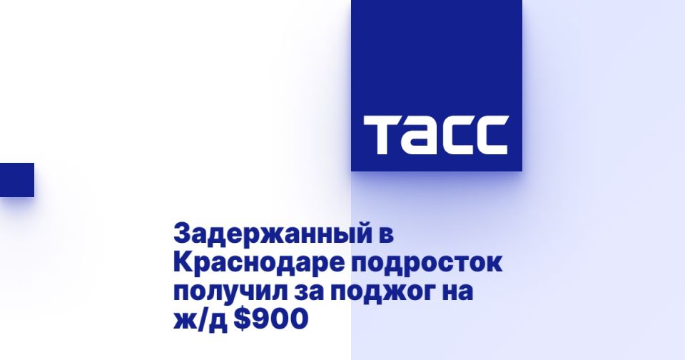         / $900