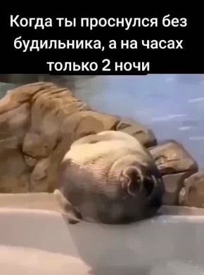   ,      7 !