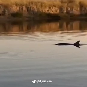          :      RT,    