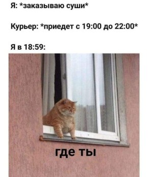  36%         