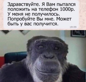           17,6 