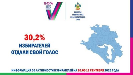        30,2%