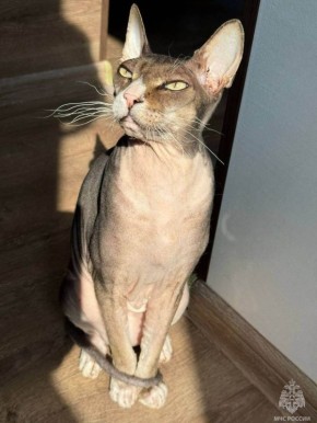     ,       