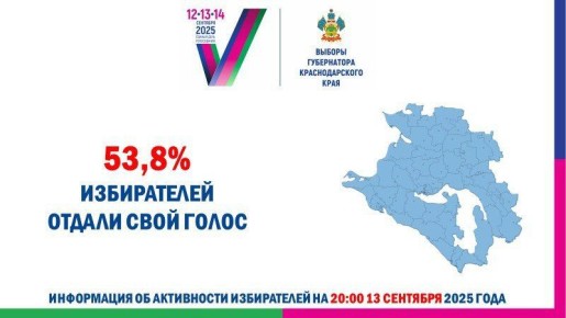           53,8%