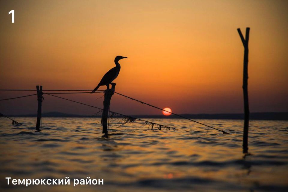Смотрим на Кубань глазами подписчиков: седьмой раунд