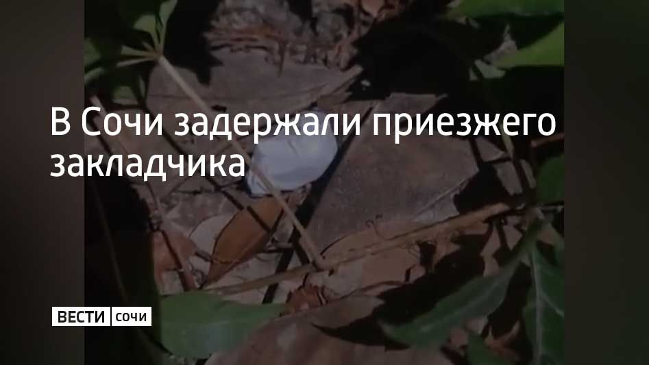 31-летнего жителя Динского района Краснодарского края задержали в Адлерском районе курорта