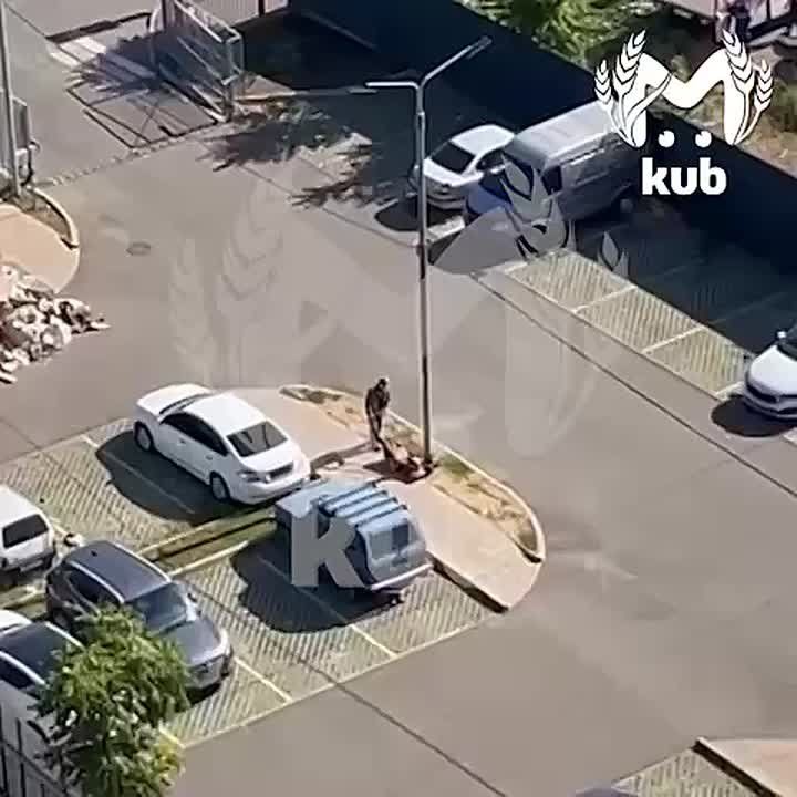Очень старательного садовника заметили в краснодарском ЖК "Все свои"