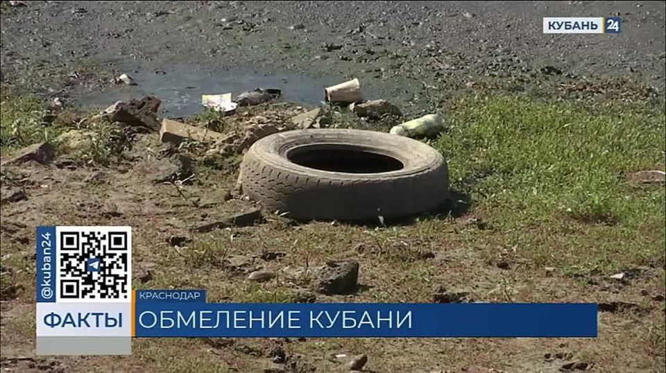 Возможно ли перейти Кубань вброд? Наш корреспондент попробовал и